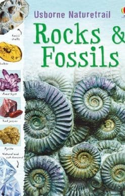 Rocks and Fossils