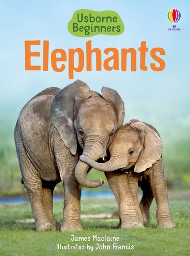 Elephants