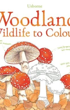 Woodland Wildlife to Colour
