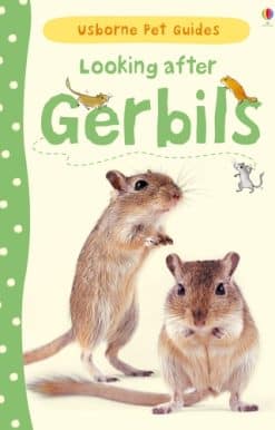 Looking after Gerbils
