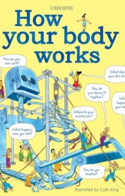 How your body works