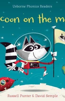 Raccoon on the Moon