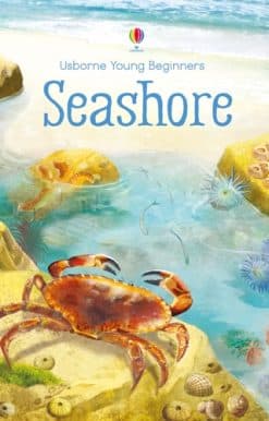 Seashore