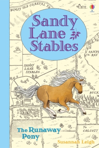 9781409590644 Sandy Lane Stables The Runaway Pony