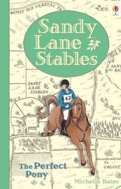 Sandy Lane Stables The Perfect Pony