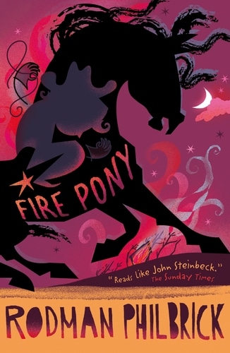9781409591078 Fire Pony