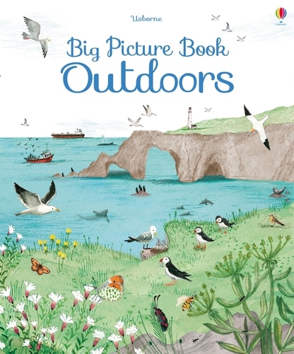 9781409598732 Big Picture Book Outdoors