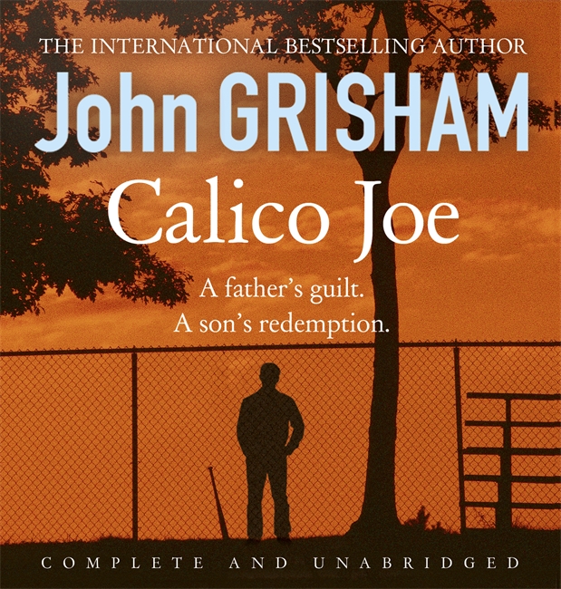 Calico Joe: An unforgettable novel about childhood, family, conflict and guilt, and forgiveness