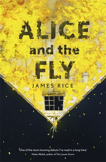 Alice and the Fly: 'a darkly quirky story of love, obsession and fear' Anna James