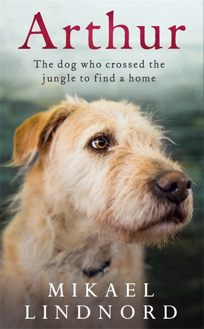 Arthur the King: The dog who crossed the jungle to find a home *WATCH NOW ON AMAZON PRIME*