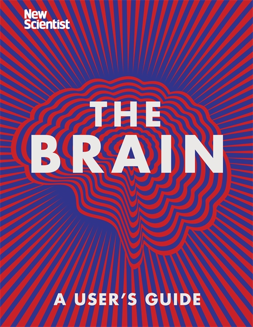 The Brain: Everything You Need to Know