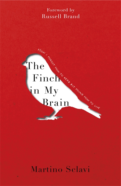 The Finch in My Brain: How I forgot how to read but found how to live