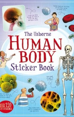 Human Body Sticker Book
