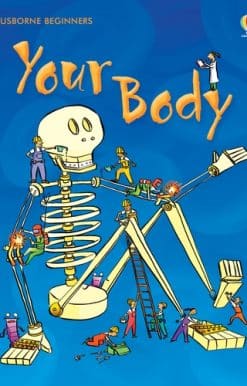 Your Body