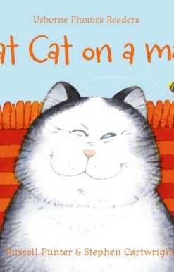 Fat cat on a mat