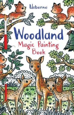 Woodland Magic Painting Book