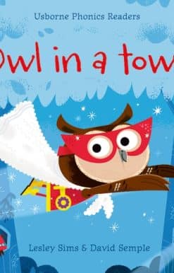 Owl in a Towel