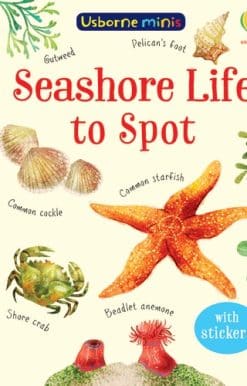 Seashore Life to Spot