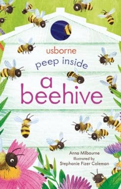 Peep Inside a Beehive