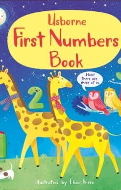 First Numbers Book