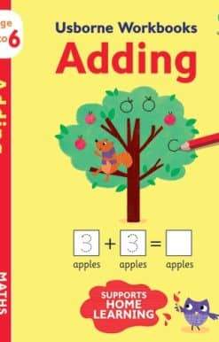 Usborne Workbooks Adding 5-6