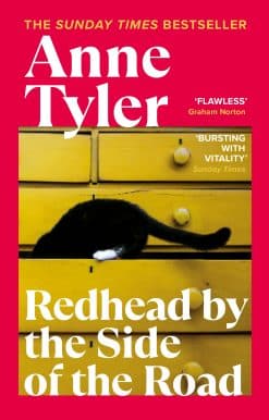 Redhead by the Side of the Road: A BBC BETWEEN THE COVERS BOOKER PRIZE GEM
