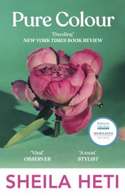 Pure Colour: the new novel from the author of Motherhood and How Should A Person Be?