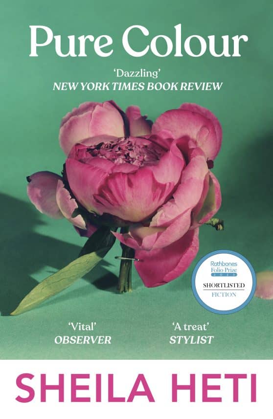 Pure Colour: the new novel from the author of Motherhood and How Should A Person Be?