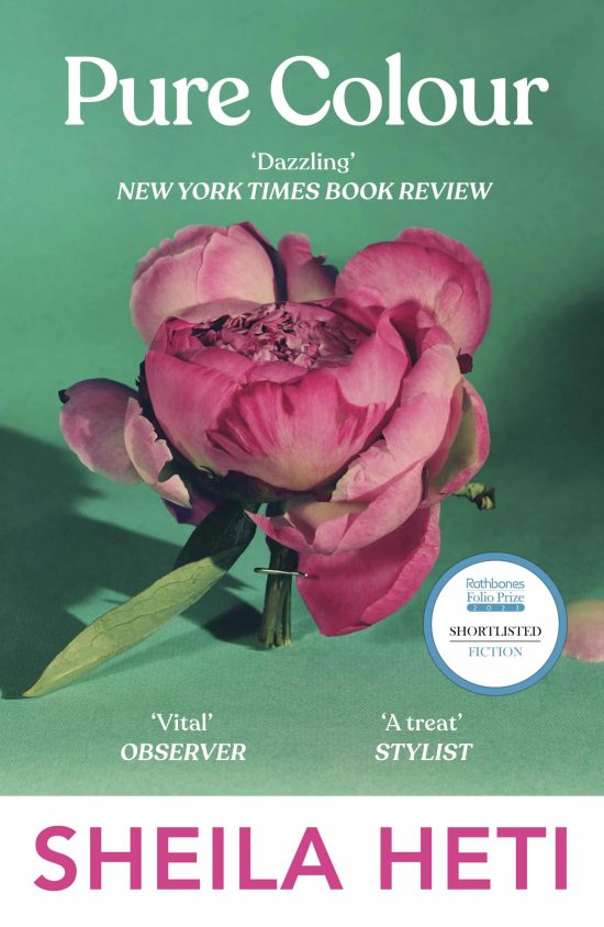 Pure Colour: the new novel from the author of Motherhood and How Should A Person Be?