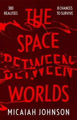 The Space Between Worlds: The #1 smash-hit Sunday Times bestseller!