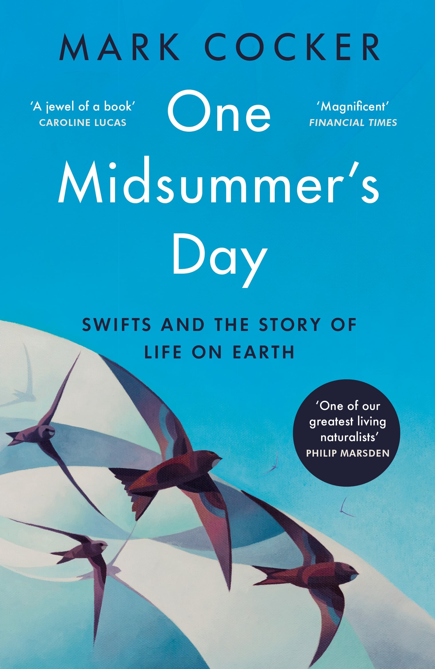 9781529921991 One Midsummer's Day: Swifts and the Story of Life on Earth