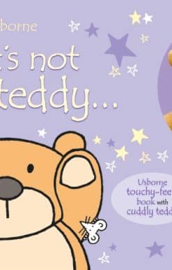 That's not my teddy... book and toy