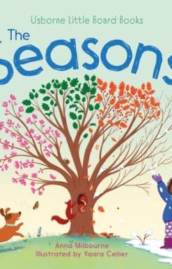 Little Board Books The Seasons