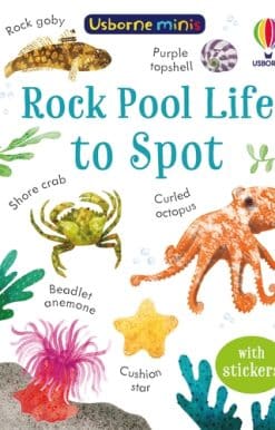 Rock Pool Life to Spot