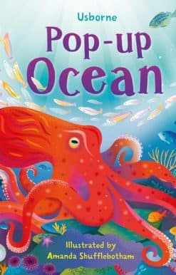 Pop-up Ocean