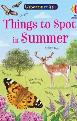 Things to Spot in Summer