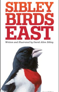 The Sibley Field Guide to Birds of Eastern North America: Second Edition