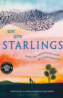 We Are Starlings: Inside the Mesmerizing Magic of a Murmuration