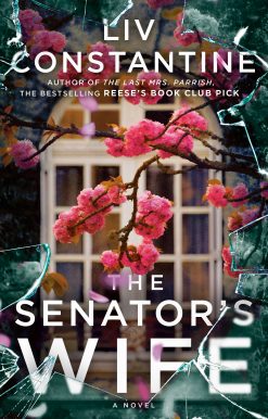 The Senator's Wife: A Novel