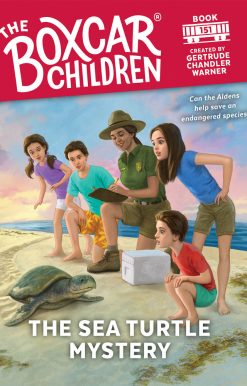 The Sea Turtle Mystery