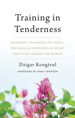 Training in Tenderness: Buddhist Teachings on Tsewa, the Radical Openness of Heart That Can Change the  World